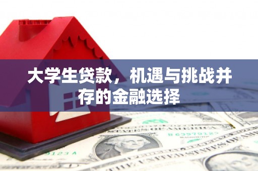 朗县大学生贷款，机遇与挑战并存的金融选择