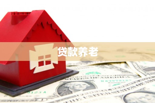 朗县贷款养老