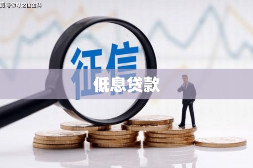 朗县低息贷款