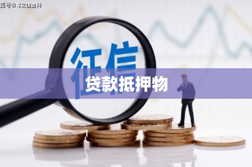 朗县贷款抵押物