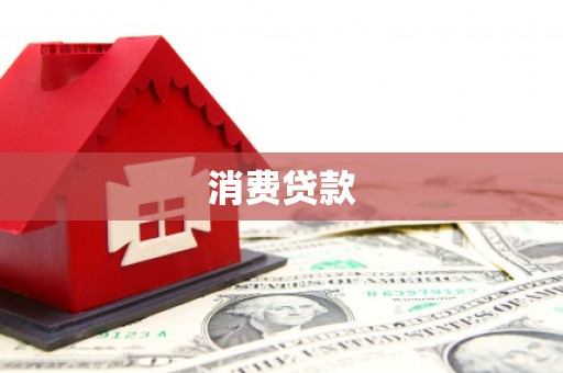 朗县消费贷款