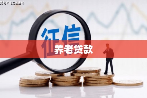 朗县养老贷款