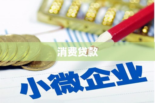 朗县消费贷款